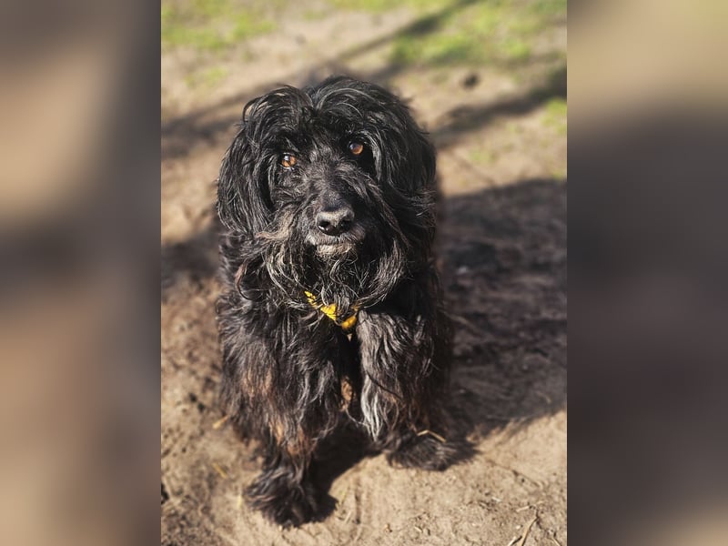 Bennet hat einen sensiblen Charakter