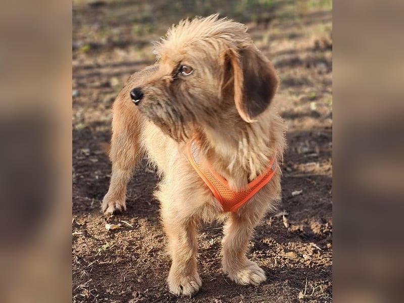 Kara zeigt sicht sehr aufgeschlossen Kara zeigt sicht sehr aufgeschlossen