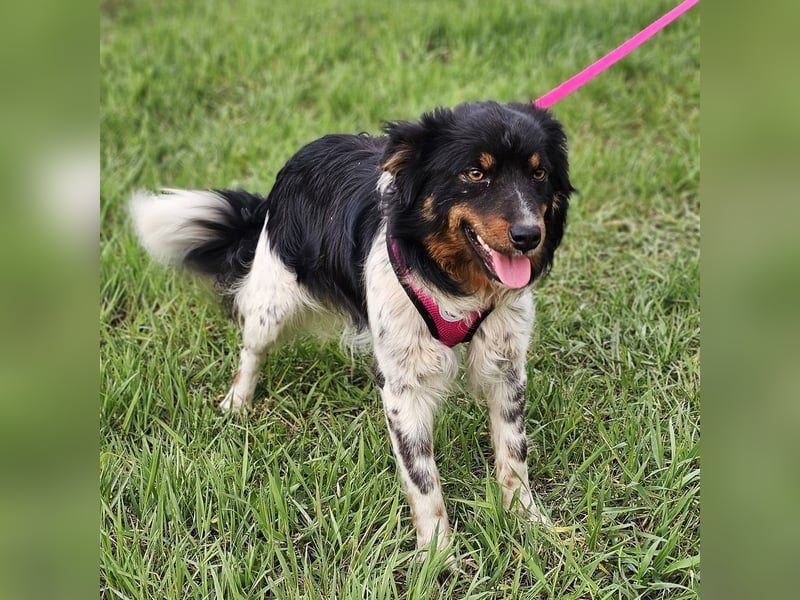 Marvel liebt Bewegung und Kopfarbeit