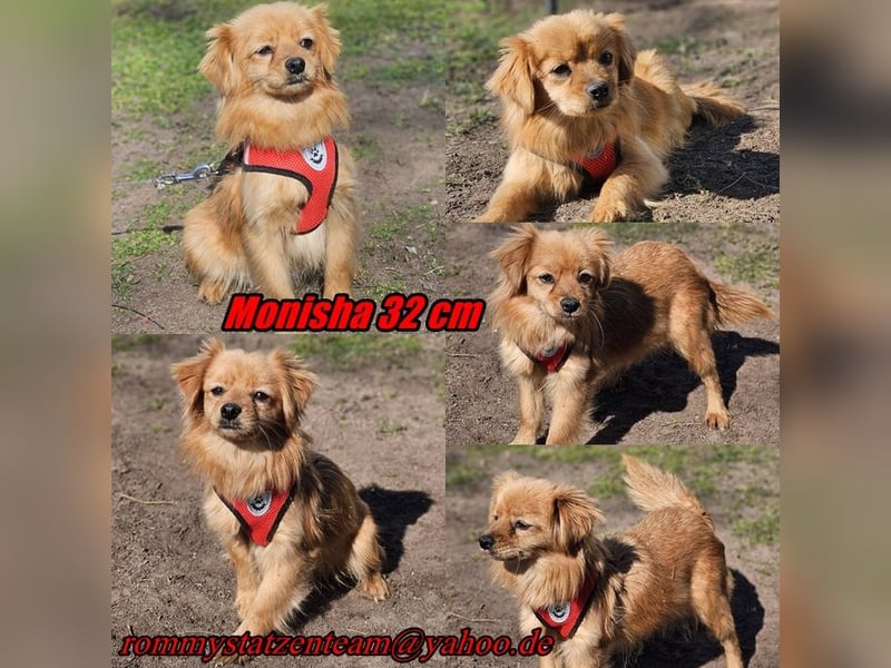 Monisha kennt bisher nur wenig