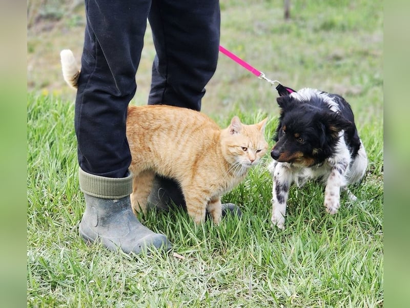 Marvel liebt Bewegung und Kopfarbeit