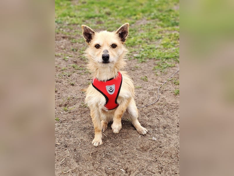 Selva mag lange Schnüffelrunden