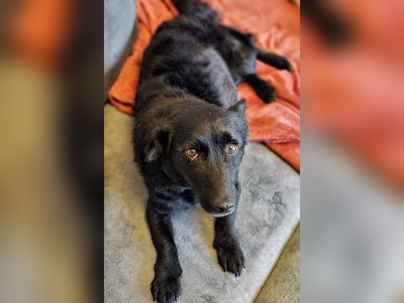 Cora mag erlebnisreiche Spaziergänge (61184 Karben)