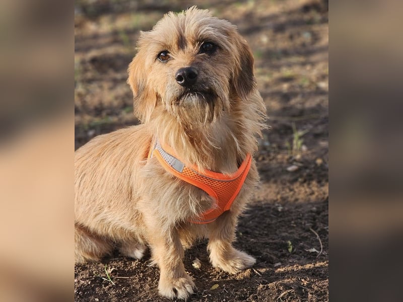 Kara zeigt sicht sehr aufgeschlossen Kara zeigt sicht sehr aufgeschlossen