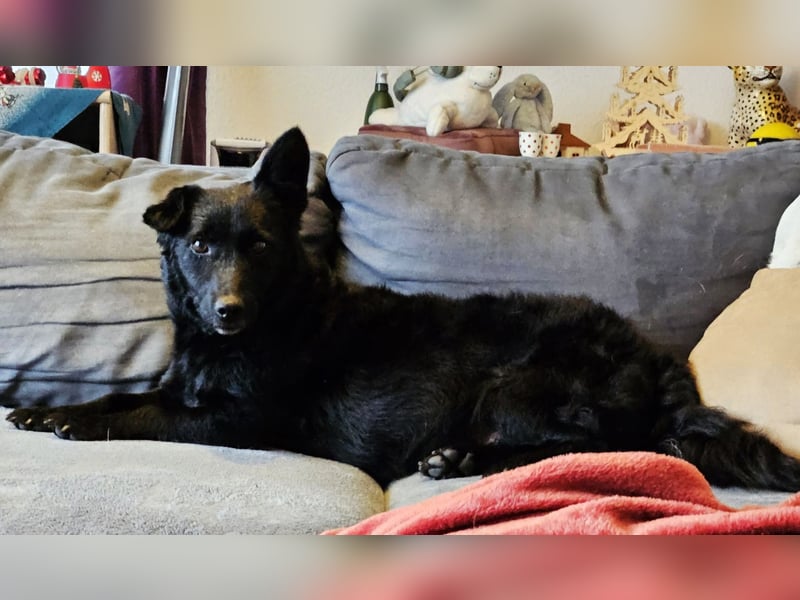 Cora mag erlebnisreiche Spaziergänge (61184 Karben)