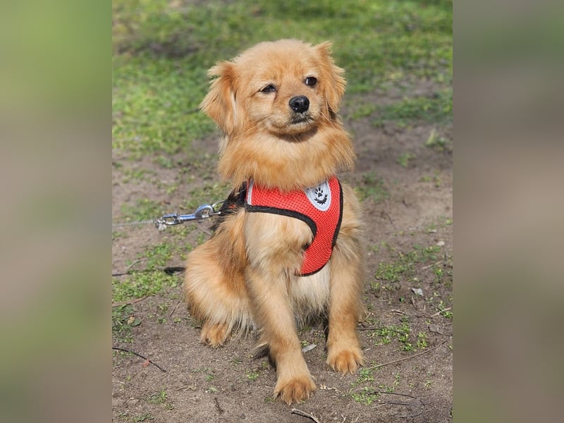 Monisha kennt bisher nur wenig