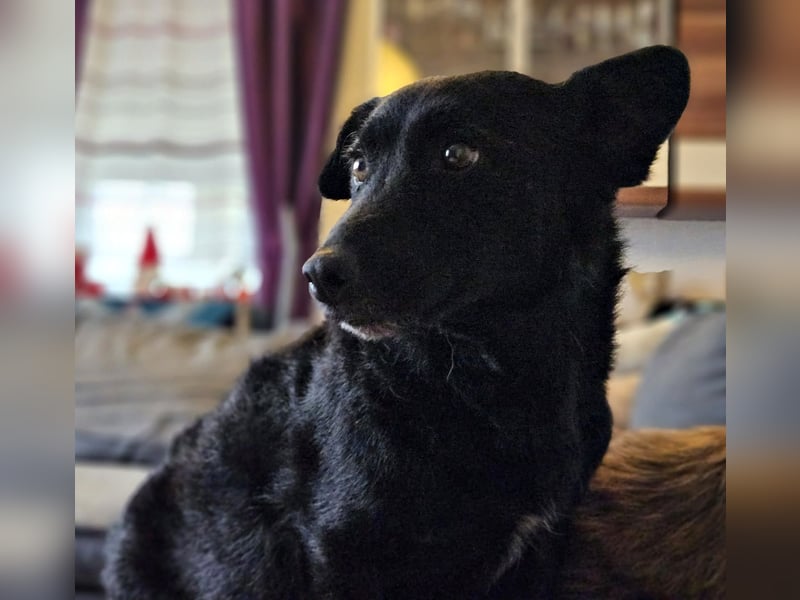 Cora mag erlebnisreiche Spaziergänge (61184 Karben)