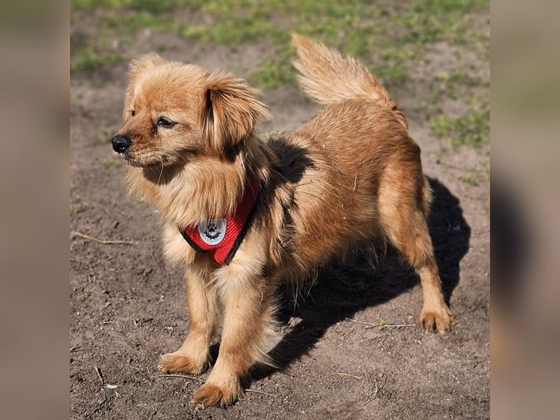 Monisha kennt bisher nur wenig