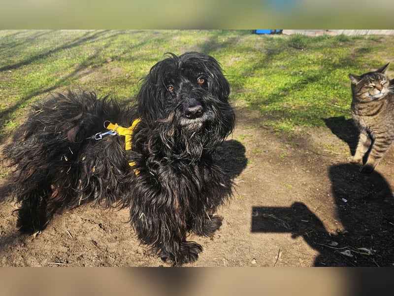 Bennet hat einen sensiblen Charakter