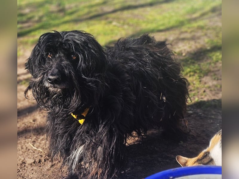 Bennet hat einen sensiblen Charakter