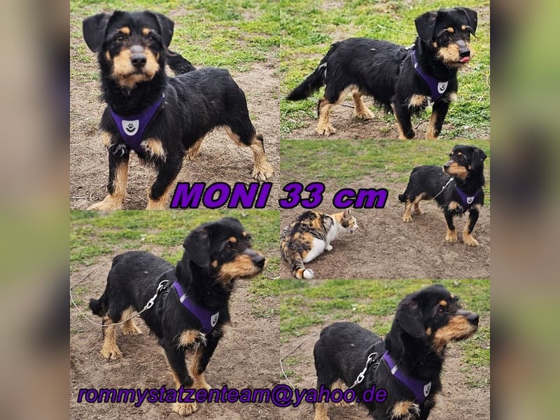 Moni zeigt ein gutes Sozialverhalten