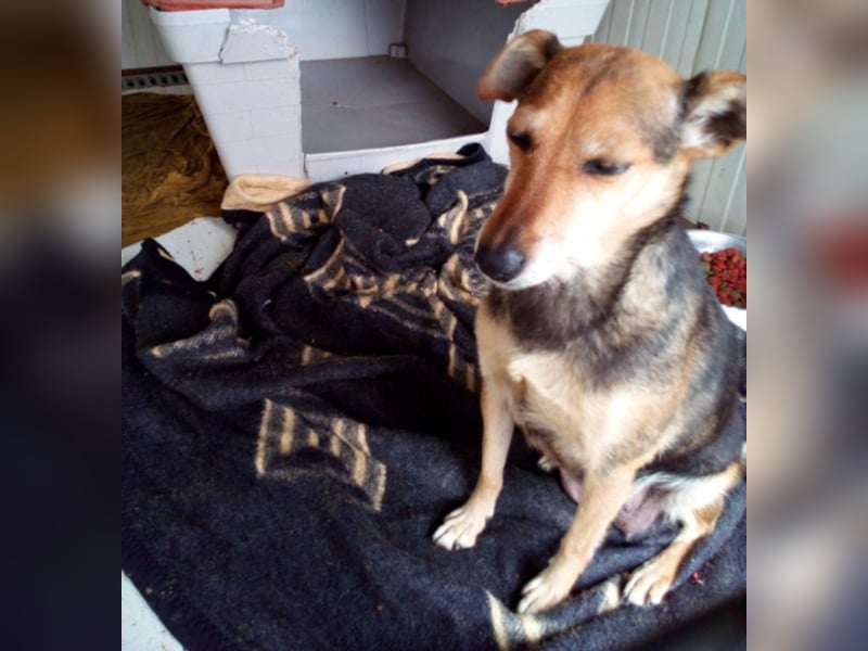 Wo darf Piri Glücklich werden