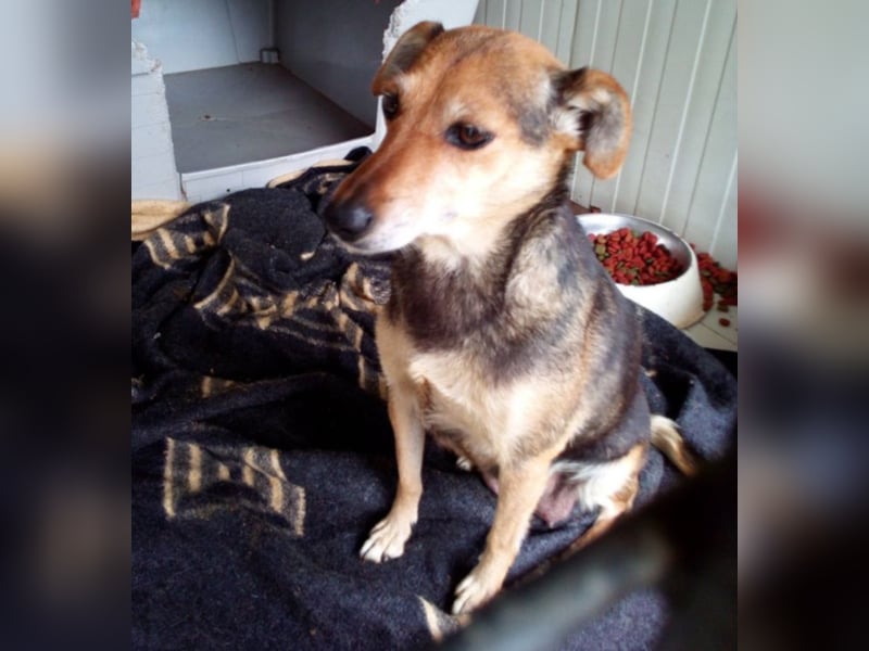 Wo darf Piri Glücklich werden