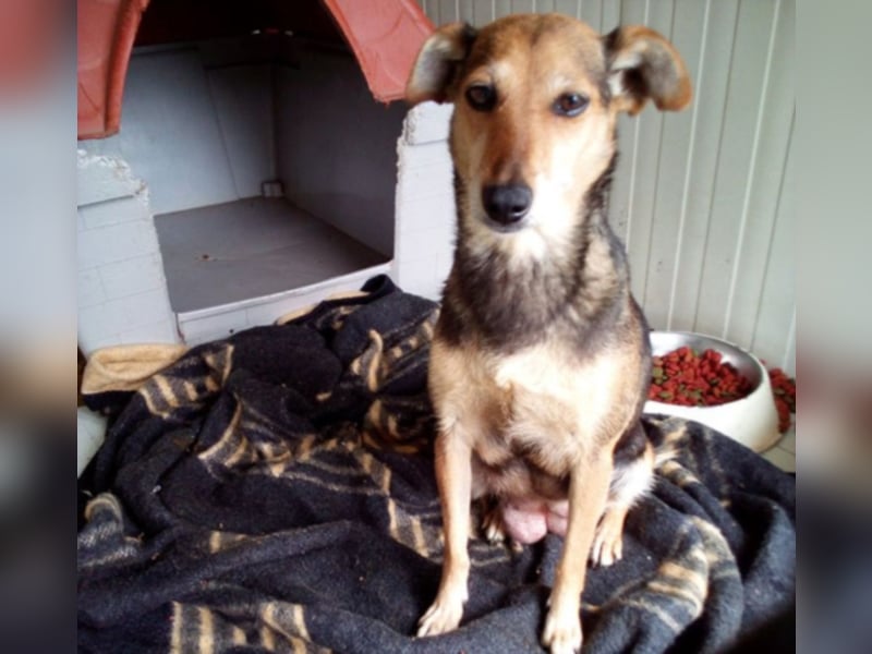 Wo darf Piri Glücklich werden