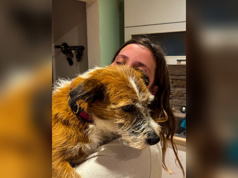 Unsichere Lizu braucht erfahrene Menschen, die ihr ein Fürimmerzuhause geben