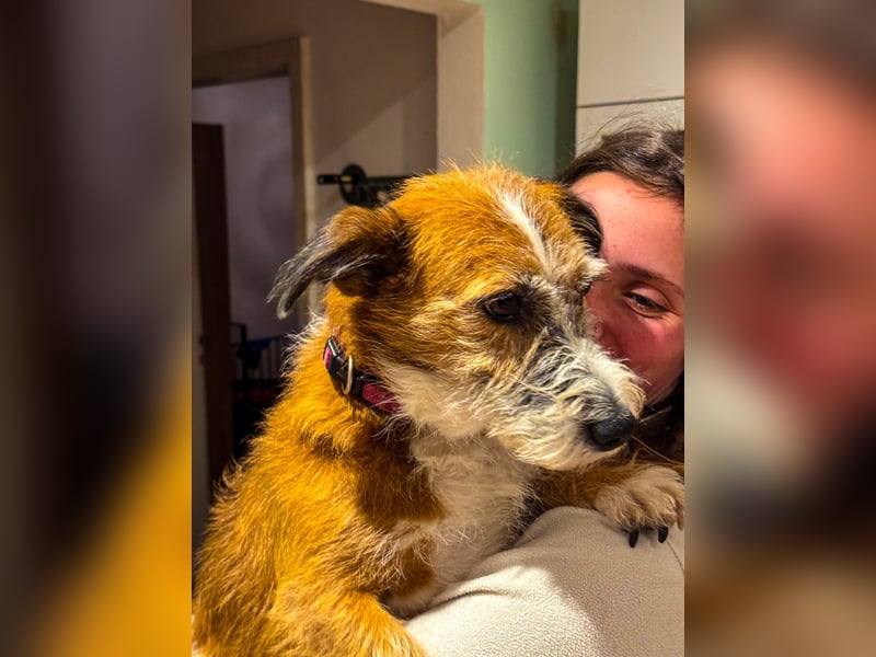 Unsichere Lizu braucht erfahrene Menschen, die ihr ein Fürimmerzuhause geben