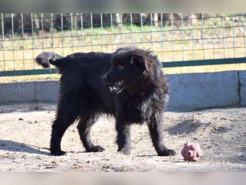 J1 möchte ein Zuhause