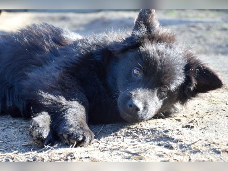 J1 möchte ein Zuhause
