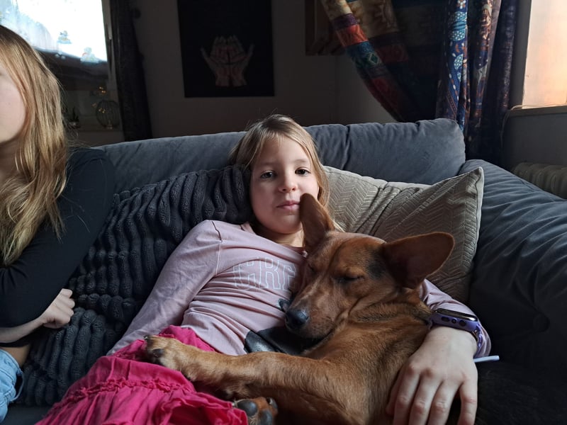 MILO – VOLLGAS ODER KUSCHELN! ❤️