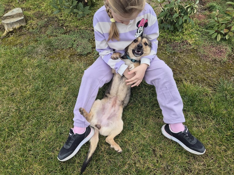 Lori