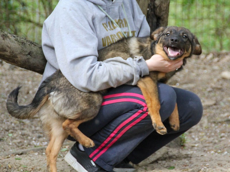 WELLA - rundum PERFEKT WELLA - rundum PERFEKT