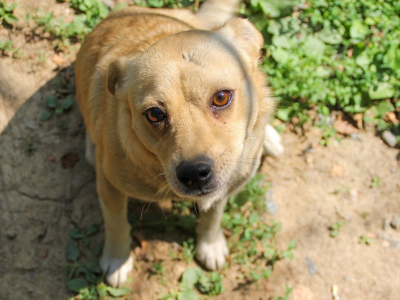 INESSA liebt die Nähe der Menschen sehr