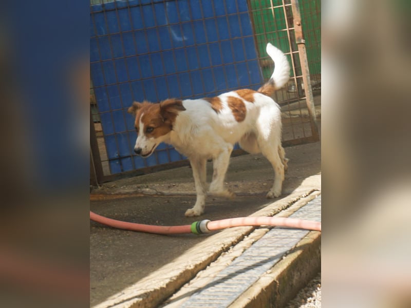 Zuckersüßer FRIEDRICH wartet auf Dich