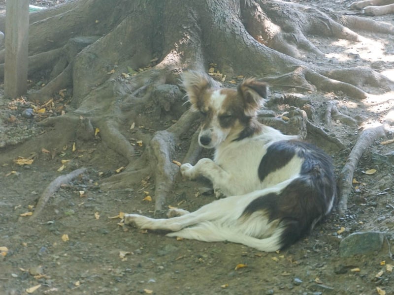 Charmante LIANE will mit DIR die Welt erkunden