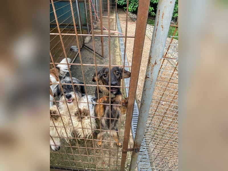 WELLA - rundum PERFEKT WELLA - rundum PERFEKT