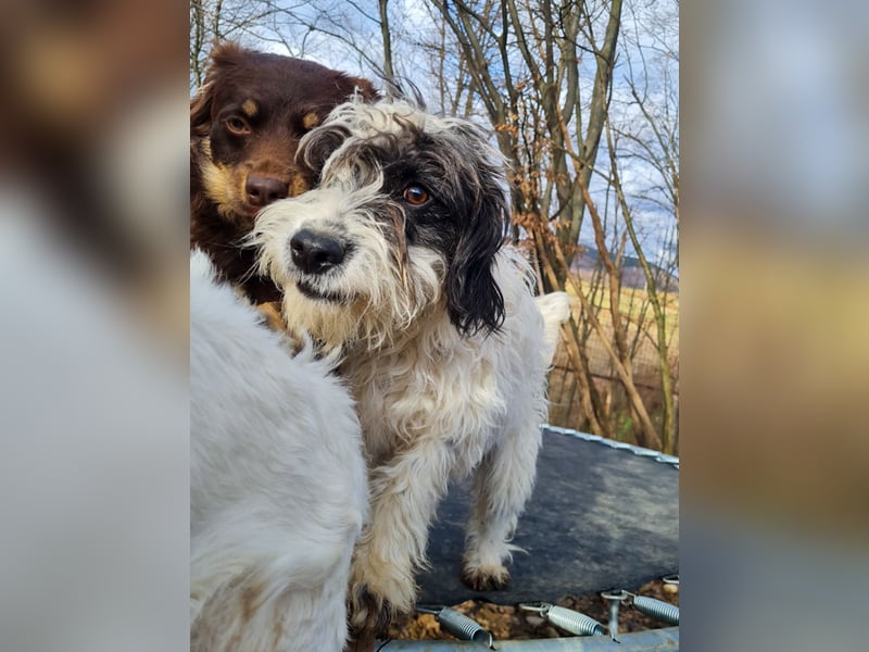 Süßer KELVIN - wer löst sein Ticket ins Glück?