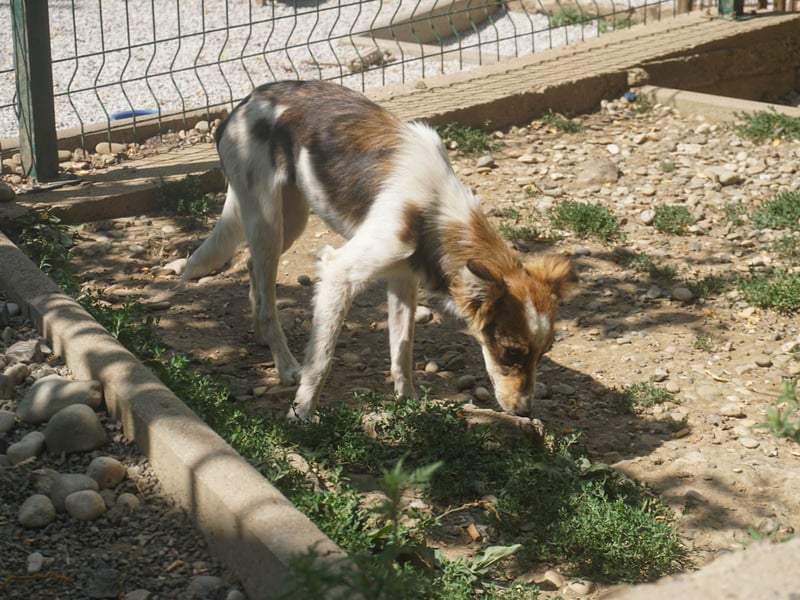 Charmante LIANE will mit DIR die Welt erkunden