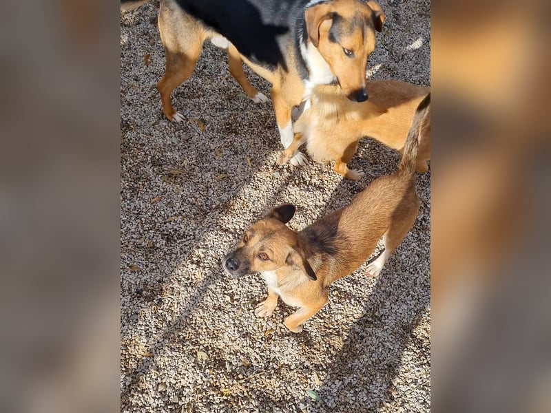 Charmante Millie bezaubert durch ihre lustige Art