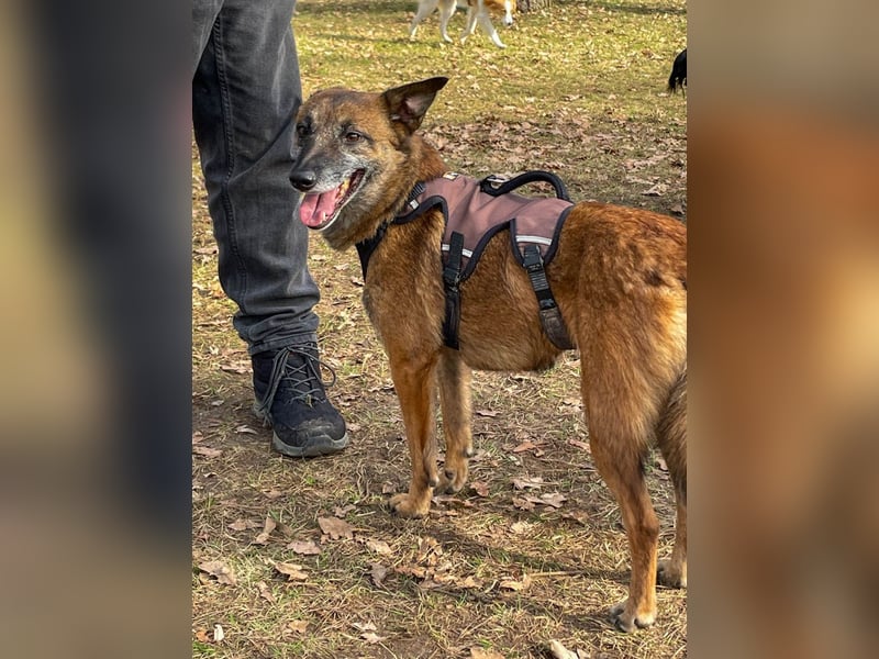 bezaubernde NISHA wartet in 91052 Erlangen auf ihre Herzensmenschen !