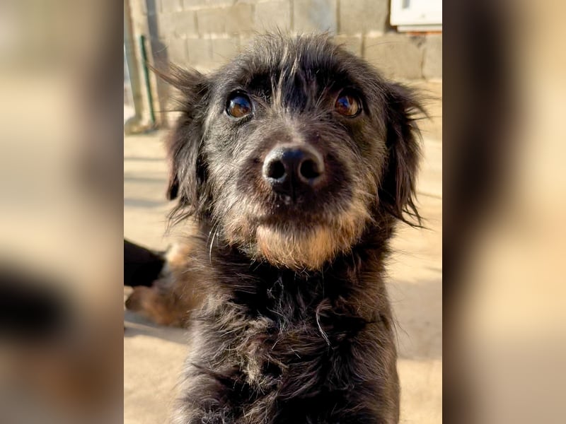 RAMONA rundum perfekt - ihr fehlt nur noch ein eigenes ZUHAUSE