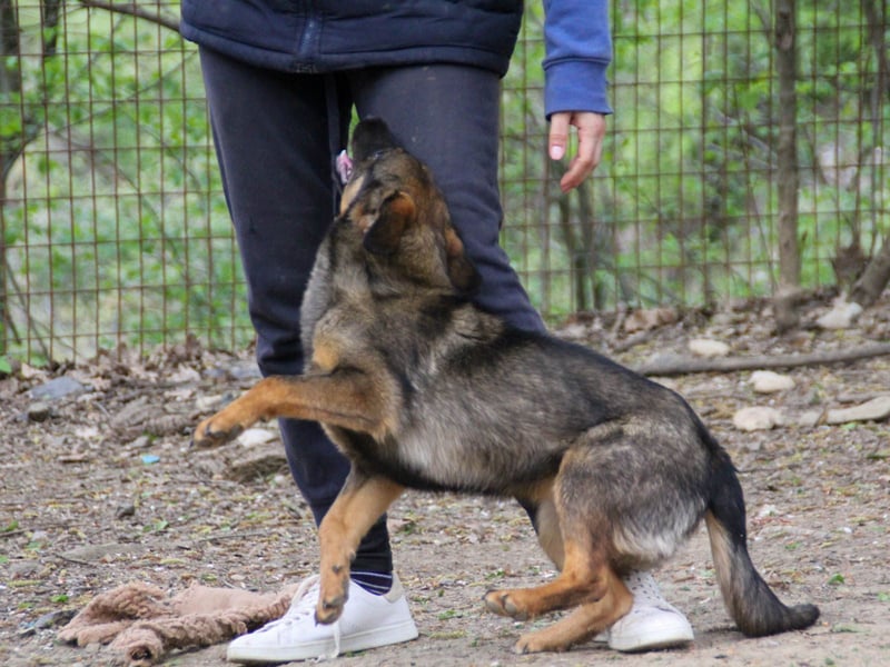 WELLA - rundum PERFEKT WELLA - rundum PERFEKT