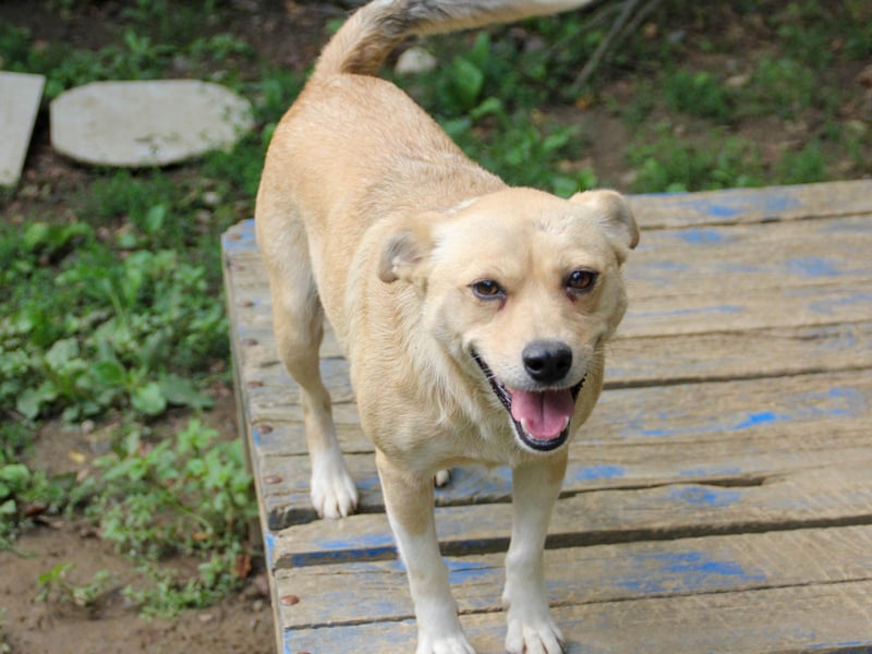 INESSA liebt die Nähe der Menschen sehr