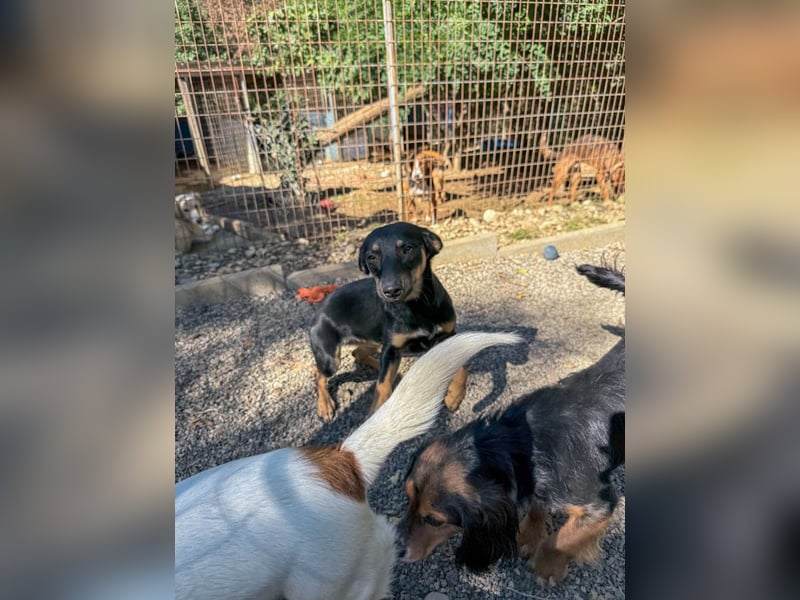 ruhige SMILLA möchte Weltentdeckerin werden wenn sie groß ist ;-)