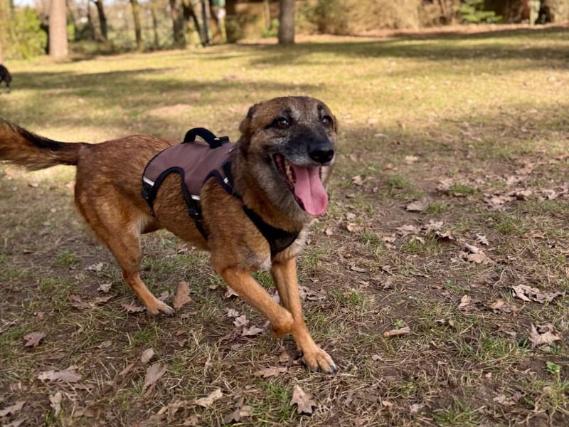 bezaubernde NISHA wartet in 91052 Erlangen auf ihre Herzensmenschen !