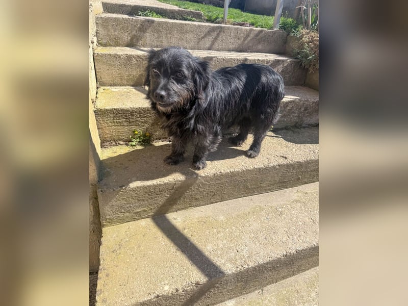 Zuckerschnauze RAMONA - bist du ihr Ticket ins Glück