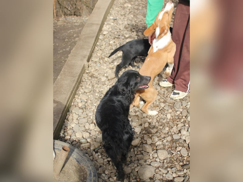 RALF er trägt die Sonne im Herzen !