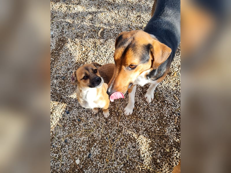 Charmante Millie bezaubert durch ihre lustige Art