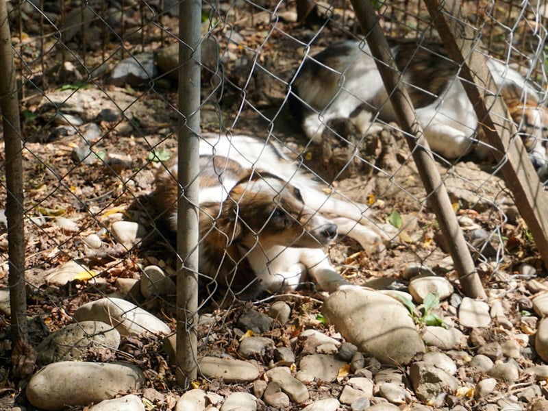 Charmante LIANE will mit DIR die Welt erkunden