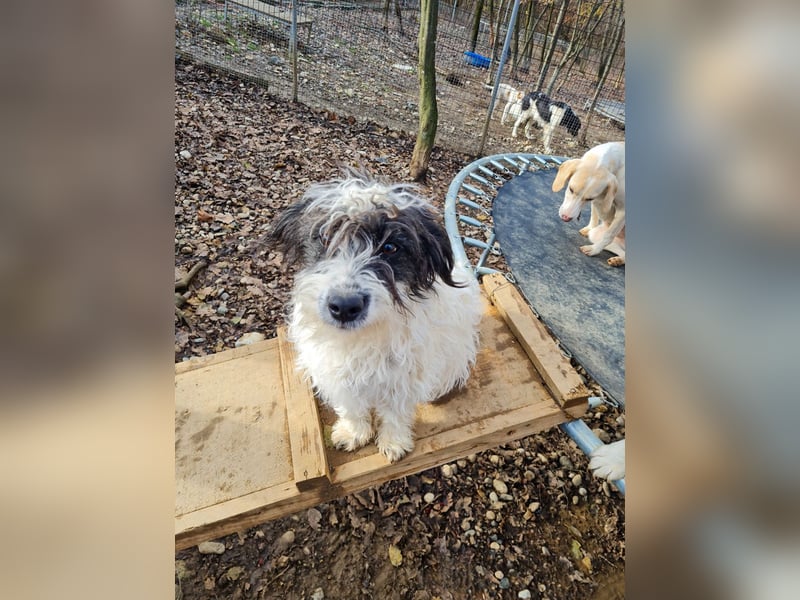 Süßer KELVIN - wer löst sein Ticket ins Glück?