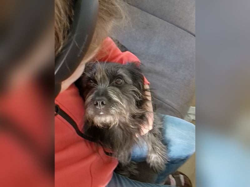 RAMONA, schon MAMA aber selbst noch auf der Suche nach Ihrem großen Glück - EIGENE HUNDEELTERN !