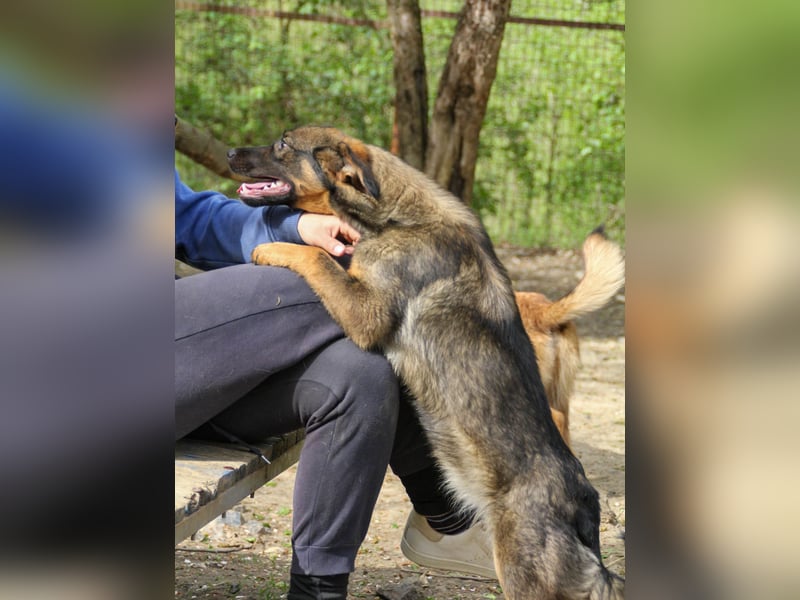 WELLA - rundum PERFEKT WELLA - rundum PERFEKT