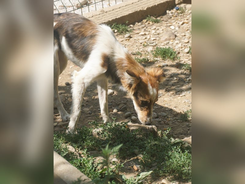 Charmante LIANE will mit DIR die Welt erkunden