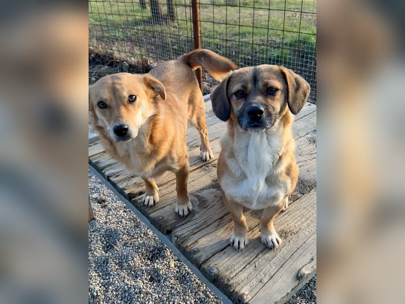 Charmante Millie bezaubert durch ihre lustige Art