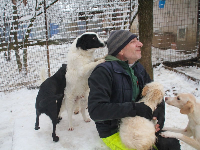 PUPIN einzigartig, lebensfroh - einfach PERFEKT !