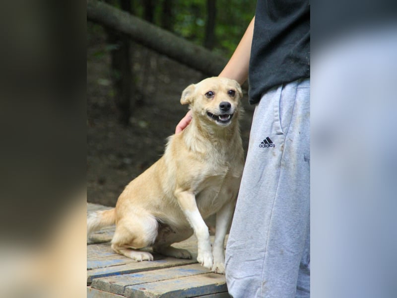 Kleine INESSA sucht das große Abenteuer außerhalb des Tierheims