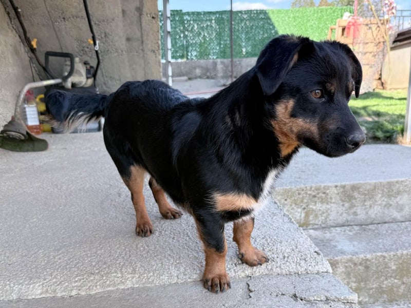 hübsch, hübscher, ROXANA